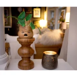 Silver Buffalo Harry Potter Mandrake Face 6-Inch Ceramic Planter With Artificial Succulent -Greenery Decor Store GUEST b9cf1ff5 7e00 4fe2 839b 664d2917b99e