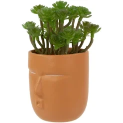 Northlight 5.5" Mini Artificial Succulent In Face Planter Pot 10 Northlight 5.5" Mini Artificial Succulent In Face Planter Pot -Greenery Decor Store GUEST bb4aa3e4 9db6 4432 b405 eff5c564a597