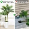 5ft Artificial Palm Tree In White Planter Faux Tropical Plant For Indoor Outdoor Office House Decor With 2 Trunks
