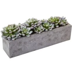 Nearly Natural Succulent Garden With Textured Concrete Planter