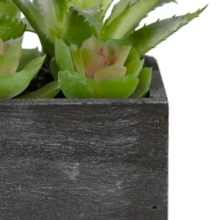 Northlight 10" Artificial Mixed Succulent Plants In A Rectangular Planter 9 Northlight 10" Artificial Mixed Succulent Plants In A Rectangular Planter -Greenery Decor Store GUEST be6fa5e7 6760 48ab a8b5 3879443f26af