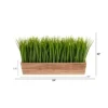 Nearly Natural 20-in Vanilla Grass Artificial Plant In Decorative Planter -Greenery Decor Store GUEST be89b18d faa8 44a8 acfd ea76f8d16a60