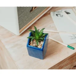 Silver Buffalo Disney Atlantis: The Lost Empire Stone Face 4-Inch Ceramic Mini Planter -Greenery Decor Store GUEST beec8d8e c254 4f4b af4b fb063bf1c703