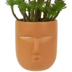 Northlight 5.5" Mini Artificial Succulent In Face Planter Pot 9 Northlight 5.5" Mini Artificial Succulent In Face Planter Pot -Greenery Decor Store GUEST c1f98d74 5ae9 4df7 a367 866022fcc6ce