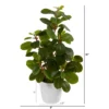 Nearly Natural 16-in Peperomia Artificial Plant In Decorative Planter 2 Nearly Natural 16-in Peperomia Artificial Plant In Decorative Planter -Greenery Decor Store GUEST c40aec66 344d 48e4 a626 3aa0f841e09f