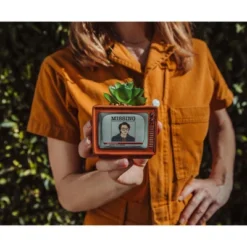 Silver Buffalo Stranger Things Missing Barb 3.75-Inch Ceramic Mini Planter With Artificial Succulent 10 Silver Buffalo Stranger Things Missing Barb 3.75-Inch Ceramic Mini Planter With Artificial Succulent -Greenery Decor Store GUEST c458628d 13d6 4b2d af24 6b76994f9cc1