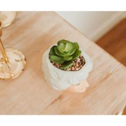 Silver Buffalo The Golden Girls Dorothy 3-Inch Ceramic Mini Planter With Artificial Succulent -Greenery Decor Store GUEST c6457927 0bfc 4ba4 ad47 f70d019772f9