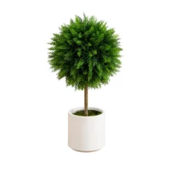 Nearly Natural 2.5-ft UV Resistant Artificial Cedar Ball Topiary Tree In White Decorative Planter (Indoor/Outdoor) 7 Nearly Natural 2.5-ft UV Resistant Artificial Cedar Ball Topiary Tree In White Decorative Planter (Indoor/Outdoor) -Greenery Decor Store GUEST c6b34229 f339 4a89 9e99 90843d3ae03e