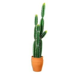 Nearly Natural 5-ft Artificial Cactus In Terracotta Planter -Greenery Decor Store GUEST c8286775 5fa6 4da6 b661 ebbfabc4a81d