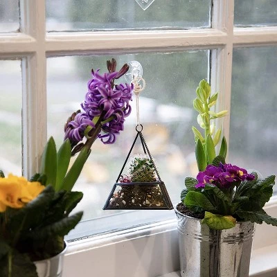 D'Eco Glass Geometric Plant Terrarium 3Pk - Hanging Triangle, House & Prism Planters - Home, Garden & Office Botanical Decor - Gift For Plant Lovers 5 D'Eco Glass Geometric Plant Terrarium 3Pk - Hanging Triangle, House & Prism Planters - Home, Garden & Office Botanical Decor - Gift For Plant Lovers - Image 4