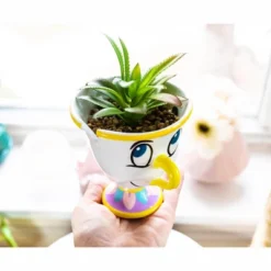 Silver Buffalo Disney Beauty And The Beast Chip 3-Inch Mini Planter With Artificial Succulent -Greenery Decor Store GUEST cb709cfc b042 4662 a619 e28763af04b1