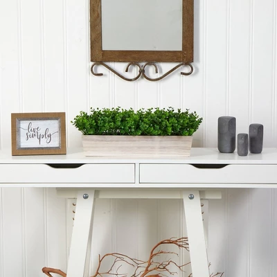 Nearly Natural 19-in Eucalyptus Artificial Plant In Decorative Planter 5 Nearly Natural 19-in Eucalyptus Artificial Plant In Decorative Planter - Image 3