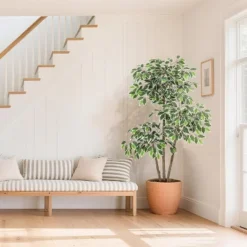 Artificial Ficus Tree, Tall Faux Plant With White Tall Planter, Faux Greenery Tree With Natural Trunks & White-Edged Leaves For Home Decor -Greenery Decor Store GUEST cd468f6c 6828 4183 97d2 451c2514ff0d