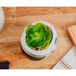 Silver Buffalo NASA Space Helmet 6-Inch Ceramic Planter With Artificial Succulent -Greenery Decor Store GUEST cd86588e a44a 4f50 b22e cb1849b40e2b