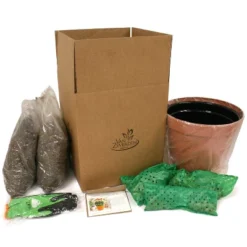 Van Zyverden 46ct Bulbs Multicolored Unison Spring Blooming Patio Planter Set 10 Van Zyverden 46ct Bulbs Multicolored Unison Spring Blooming Patio Planter Set -Greenery Decor Store GUEST d254073f 3f70 4727 bead b60bbbdbc96b