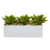 Nearly Natural Agave Succulent In Rectangular Planter 1 Nearly Natural Agave Succulent In Rectangular Planter -Greenery Decor Store GUEST d7b8226b be6f 45a1 952a 6da8a212c5e6