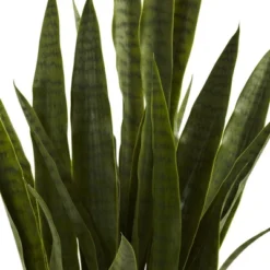Nearly Natural Sansevieria With Black Planter -Greenery Decor Store GUEST d8b22f7c 9a45 4515 9f4e 99530bfda27c