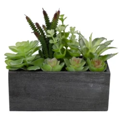 Northlight 10" Artificial Mixed Succulent Plants In A Rectangular Planter 8 Northlight 10" Artificial Mixed Succulent Plants In A Rectangular Planter -Greenery Decor Store GUEST dda60922 fc5b 422d a2aa 5ab6a9e1dcdc