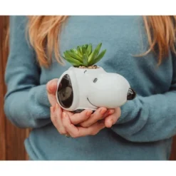 Silver Buffalo Peanuts Snoopy Face Ceramic Mini Planter With Artificial Succulent | 3.5"L X 5" H X 5" W -Greenery Decor Store GUEST df051a44 d6a4 437b 9e48 9af91fd7acab