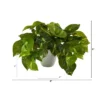 Nearly Natural 9-in Pothos Artificial Plant In White Planter (Real Touch) -Greenery Decor Store GUEST e40fff37 0a8c 410d bb61 1d5003fa3d04