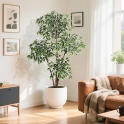 Artificial Ficus Tree, Tall Faux Plant With White Tall Planter, Faux Greenery Tree With Natural Trunks & White-Edged Leaves For Home Decor -Greenery Decor Store GUEST e4a29669 18b0 419b b69d 47978b6754e9