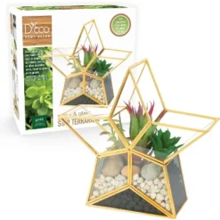 D'Eco Glass Star Terrarium- Tabletop Geometric Planter- Succulents, Moss & More- Home Garden Office Decor- Gift For Mother's Day (Terrarium Only) -Greenery Decor Store GUEST e4ee1efa 2265 4a2a 901b ef5a6243b971
