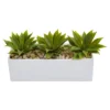 Agave Succulent In Rectangular Planter - Nearly Natural