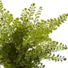 14" X 13" 3pc Artificial Ferns With Planter Set - Nearly Natural -Greenery Decor Store GUEST ed8fdf67 b73a 4e8f 859f 6fe2c9f375ba