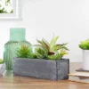 Northlight 12" Artificial Mixed Succulent Plants In A Rectangular Planter -Greenery Decor Store GUEST f28e1d0e 36c7 4ef0 b83e 36f0cbce8489