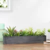 Northlight 23" Artificial Mixed Succulent Plants In A Rectangular Planter