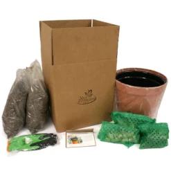 Van Zyverden 40ct Bulbs Multicolored Harmony Spring Blooming Patio Planter Set -Greenery Decor Store GUEST f5286d19 e5c2 44ef b99c fcf48c3597ac