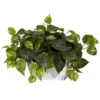 Nearly Natural 14-in Pothos W/White Wash Planter Silk Plant