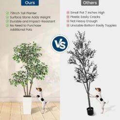 Artificial Ficus Tree, Tall Faux Plant With White Tall Planter, Faux Greenery Tree With Natural Trunks & White-Edged Leaves For Home Decor -Greenery Decor Store GUEST f901f6b6 e82b 4fa3 b697 ba232ff5bfa4