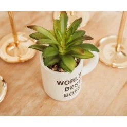 Silver Buffalo The Office "World's Best Boss" 3-Inch Ceramic Mini Planter With Artificial Succulent 10 Silver Buffalo The Office "World's Best Boss" 3-Inch Ceramic Mini Planter With Artificial Succulent -Greenery Decor Store GUEST f9a84c60 2eac 4e50 8d3c f0481c33d8e5