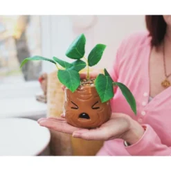 Silver Buffalo Harry Potter Mandrake Face 6-Inch Ceramic Planter With Artificial Succulent -Greenery Decor Store GUEST fb398b4b c722 4147 a49e 77fffd3aa451