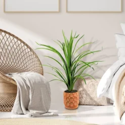 Greenery Decor Store -Greenery Decor Store GUEST fe8a3b5a b9ab 46c5 8b48 b4b2ae7a492a