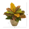Nearly Natural 15-in Garden Croton Artificial Plant In Ceramic Planter (Real Touch) -Greenery Decor Store GUEST feb15ebf 9463 470b a611 acf2617603f7