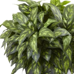 Silver King Plant With Slate Decorative Planter - Nearly Natural