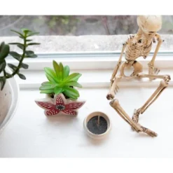 Silver Buffalo Stranger Things Demogorgon 3-Inch Ceramic Mini Planter With Artificial Succulent -Greenery Decor Store GUEST ffc31be2 c54f 4312 a3d6 aec45bb7f651